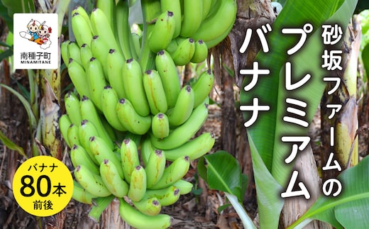 砂坂ファームのプレミアムバナナ （８０本前後）