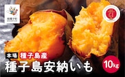 《 先行予約 》種子島安納いも（本場種子島産）１０ｋｇ