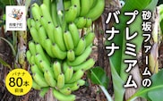 砂坂ファームのプレミアムバナナ （８０本前後）