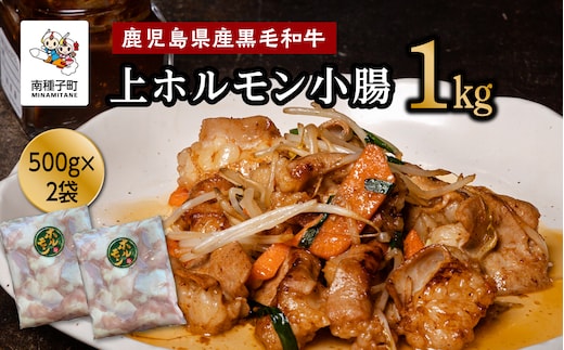 鹿児島県産黒毛和牛 上ホルモン小腸1kg（500ｇ×２袋）