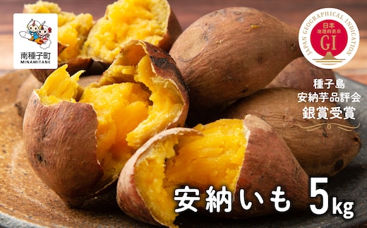 【先行予約】 種子島 安納いも 5kg 人気 種子島産 返礼品 南種子町 鹿児島 かごしま 【のっちーよ種子島】