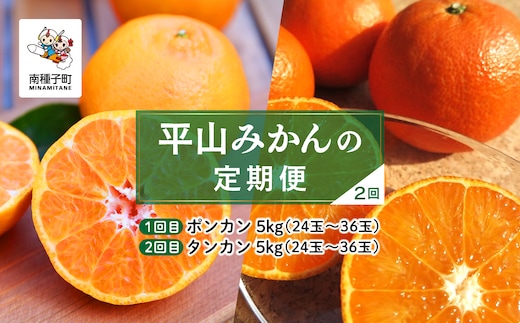 【先行予約】【定期便】 種子島 平山みかん ポンカン タンカン 定期便 全2回 人気 種子島産 返礼品 南種子町 鹿児島 かごしま 【のっちーよ種子島】