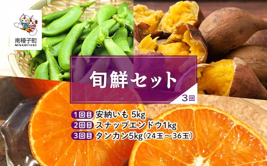 【先行予約】【定期便】 種子島 旬鮮セット 全3回 安納芋 スナップエンドウ タンカン 人気 種子島産 返礼品 南種子町 鹿児島 かごしま 【のっちーよ種子島】