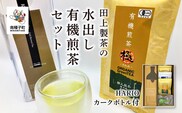 ＜鹿児島県種子島産＞かんたん！田上製茶の水出し有機煎茶セット【HARIOカークボトル付】