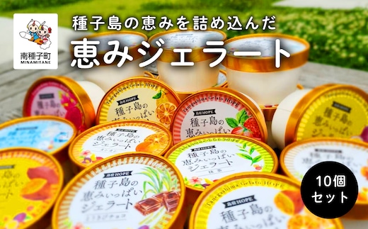 恵みジェラート10個セット