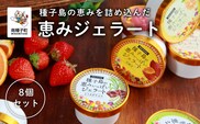 恵みジェラート8個セット