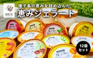 恵みジェラート12個セット