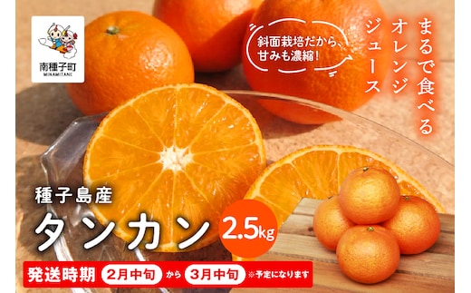《 先行予約 》種子島産タンカン約2.5kg（12～18玉）【2027年2月中旬～3月中旬頃順次発送】