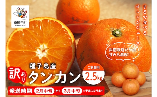 《 先行予約 》種子島産タンカン(ご家庭用)約2.5kg（12～18玉）【2027年2月中旬～3月中旬頃順次発送】