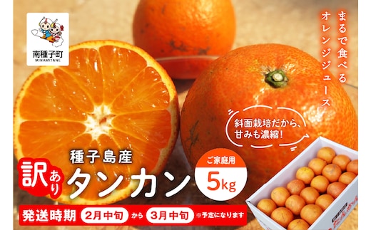 《 先行予約 》【2027年2月中旬～3月中旬頃順次発送】種子島産タンカン(ご家庭用) 約5kg(24玉～36玉)