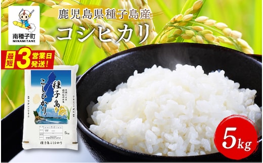 《令和8年産米 新米》 種子島産コシヒカリ5kg