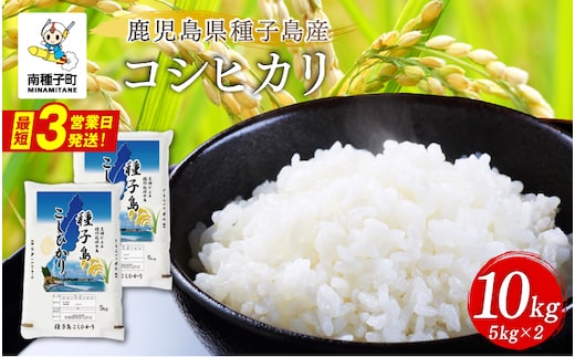 《令和8年産米 新米》 種子島産コシヒカリ10kg（5kg×2）
