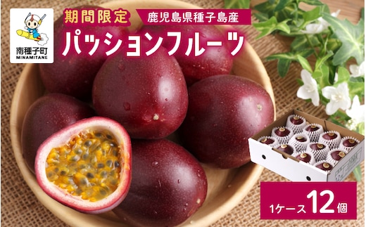 令和8年度 種子島産パッションフルーツ1ケース（12個入り）