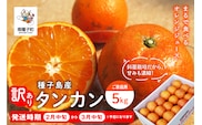 《 先行予約 》【2027年2月中旬～3月中旬頃順次発送】種子島産タンカン(ご家庭用) 約5kg(24玉～36玉)