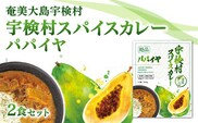 【ご当地カレー】宇検村 スパイス カレー パパイヤ 【2食セット】 本格 レトルト カレー しらす 奄美大島 鹿児島県 宇検村 奄美大島