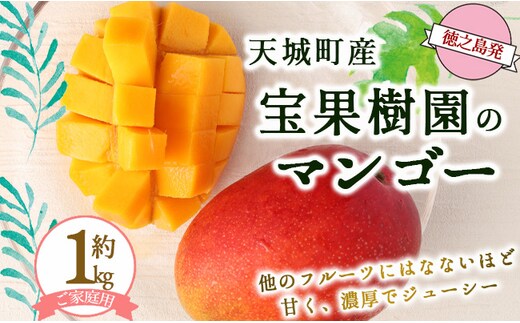 【2025年発送】徳之島 天城町産 宝果樹園 完熟マンゴー ご家庭用 マンゴー 1kg AT-21-N