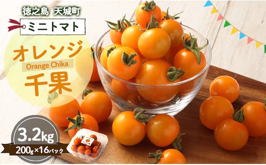 徳之島 天城町産 ミニトマト 200g×16パック 合計3.2kg オレンジ千果 トマト