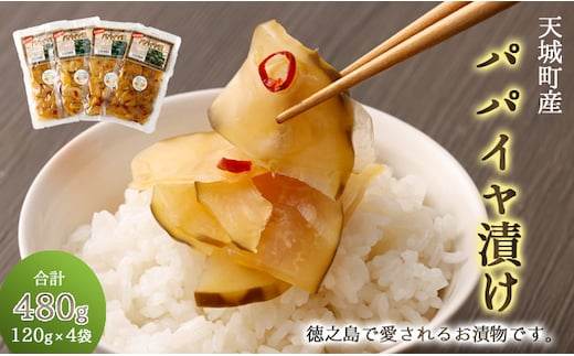 徳之島 天城町 パパイヤ漬け 4袋セット パパイヤ 漬物 おつまみ 郷土料理 C-10-N