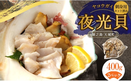 徳之島 天城町 夜光貝 ヤコウガイ 刺身用 400g 瞬間冷凍 カット済み 魚介 貝類 おつまみ