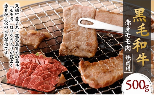 鹿児島黒毛和牛 赤身 モモ肉 焼肉用 500g 国産 牛肉 もも肉