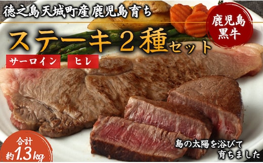 徳之島 天城町産 鹿児島育ち 鹿児島黒毛和牛 ステーキ 2種セット 合計約1.3kg サーロイン 720g 180g×4枚 ヒレ 600g 150g×4枚