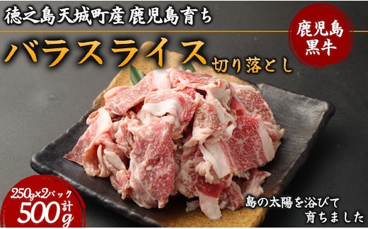 徳之島 天城町産 鹿児島育ち 鹿児島黒毛和牛 切り落とし 合計500g 250g×2パック バラ スライス