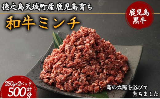 徳之島 天城町産 鹿児島育ち 鹿児島黒毛和牛 ミンチ 500g 250g×2パック