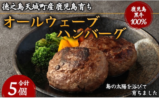 徳之島 天城町産 鹿児島育ち 鹿児島黒牛 オールウェーブハンバーグ 5個 和牛100%