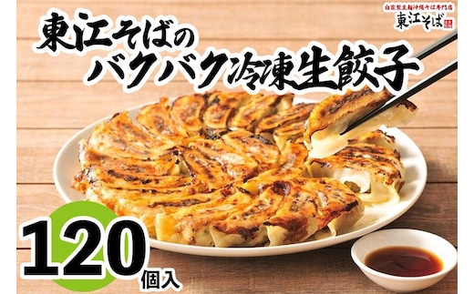 東江そばのバクバク冷凍生餃子 120個入