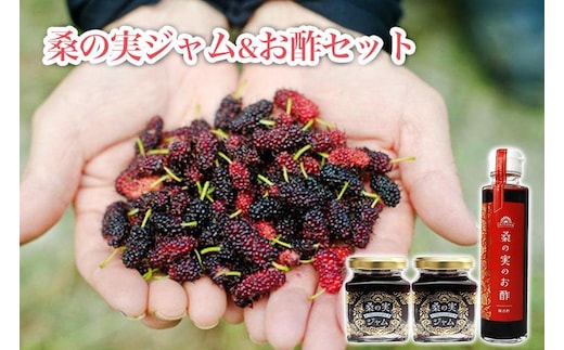桑の実ジャム＆お酢セット