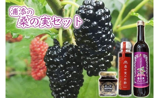 浦添の桑の実セット