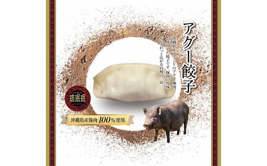 【琉みんみん】沖縄県アグー餃子 4パック 48個入り