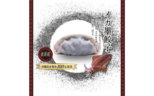 【琉みんみん】沖縄県産イカスミ餃子 4パック 48個入り