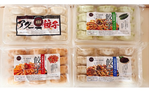 【琉みんみん】沖縄餃子 詰め合わせパック 4パック 48個入り