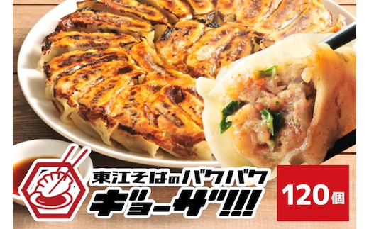 東江そばのバクバク冷凍生餃子 120個入