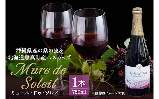 【数量限定】2022年度産 浦添ワイン Mure de Soleil（ミュール・ドゥ・ソレイユ） | 沖縄県 浦添市 お酒 ワイン ロゼワイン 赤ワイン 白ワイン 飲み比べセット 人気 ギフト フルーティー プレゼント CG01