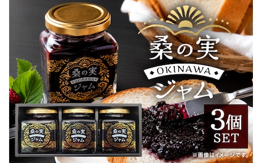 桑の実ジャム3個セット | 沖縄県 浦添市 加工品等 ジャム 桑の実 食品 加工食品 人気 ブルーベリー 健康 自然素材 CG04