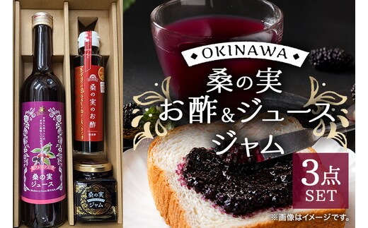 浦添の桑の実セット | 沖縄県 浦添市 果物類 桑の実 セット 食品 人気 フルーツ くだもの 沖縄 美健 桑の実セット 健康 美容 CG06