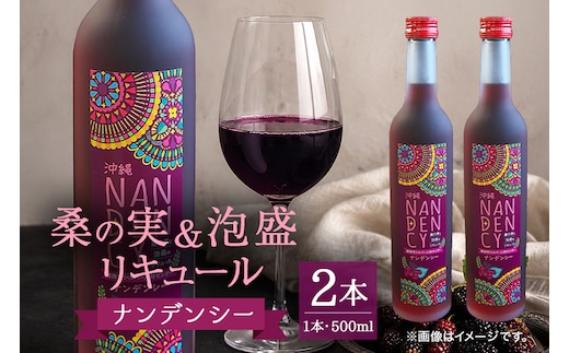 沖縄ナンデンシー（500ml×2本） | 沖縄県 浦添市 沖縄 健康 飲料 発酵食品 栄養価 美容 健康志向 ナンデンシー CG07