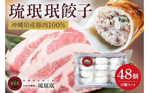 【老舗餃子屋 琉みんみん】沖縄県産豚餃子 4パック 48個入り