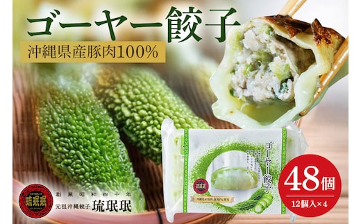 【琉みんみん】沖縄県産ゴーヤー餃子 4パック 48個入り