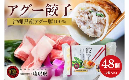 【琉みんみん】沖縄県アグー餃子 4パック 48個入り