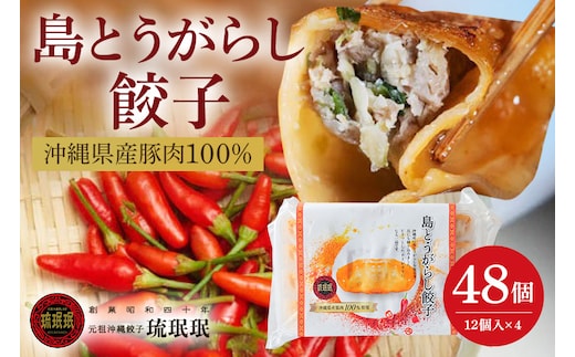 【琉みんみん】沖縄県産島とうがらし餃子 4パック 48個入り