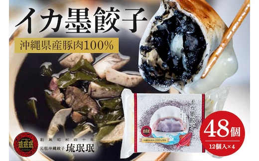 【琉みんみん】沖縄県産イカスミ餃子 4パック 48個入り