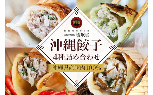 【琉みんみん】沖縄餃子 詰め合わせパック 4パック 48個入り