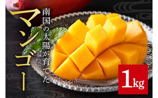 【 先行予約 2026年 発送 】家庭用マンゴー 1kg 沖縄県産