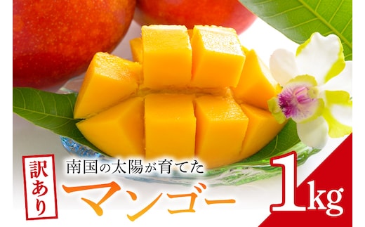 訳ありマンゴー 1kg