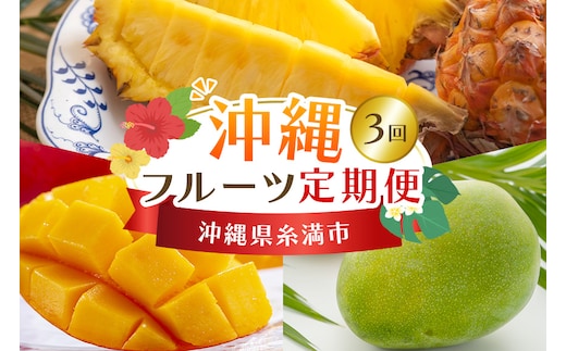 【定期便全3回】沖縄 フルーツ 定期便 3回 沖縄産パイナップル パイン マンゴー キーツマンゴー フルーツ定期便 果物 パイナップル 沖縄マンゴー 沖縄 夏 旬 フルーツ くだもの 定期便 3ヶ月 3か月 3カ月 沖縄県 糸満市 【 先行予約 2026年 発送 】 178-4