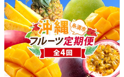 【定期便全4回】沖縄 フルーツ 定期便 4回 パッションフルーツ 沖縄産パイナップル パイン マンゴー キーツマンゴー フルーツ定期便 果物 パイナップル 沖縄マンゴー 沖縄 夏 旬 フルーツ くだもの 定期便 沖縄県 糸満市 【 先行予約 2026年 発送 】 178-6