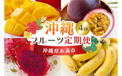【定期便全4回】沖縄 フルーツ 定期便 4回 パッションフルーツ マンゴー ドラゴンフルーツ フルーツ定期便 沖縄バナナ バナナ 旬 フルーツ 果物 くだもの 完熟マンゴー 沖縄マンゴー 定期便 季節の果物 産地直送 沖縄県 糸満市 【 先行予約 2026年 発送 】 178-7